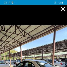 �����, ����, 37 ���