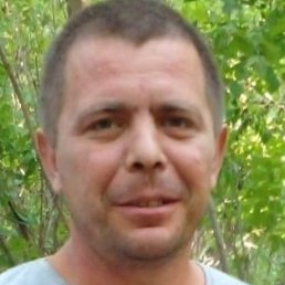 ����, ������, 41 ���