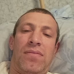 ����, �����-���������, 43 ����