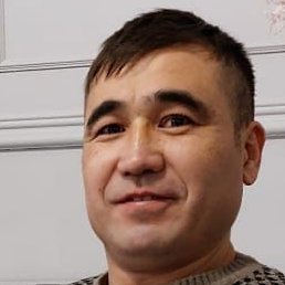 ������, ���������, 41 ���