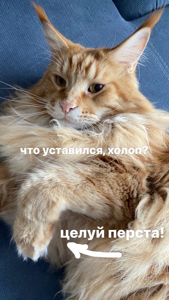       - 2  2023  18:08