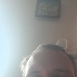 ������, �����, 33 ����