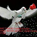 ���� ��������, ���������, 65 ��� - ��������� 11 ���� 2023 � ������ ���� ����������