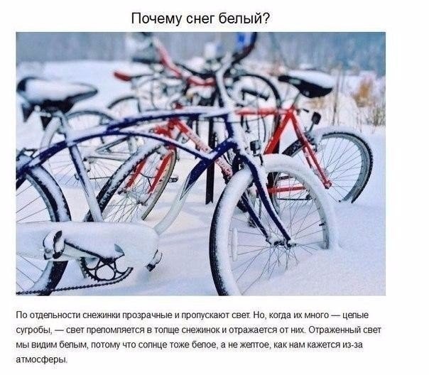    ,    . - 4