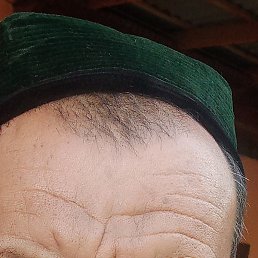 ��������, �����, 64 ����