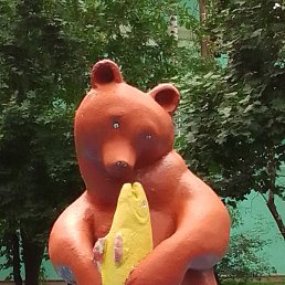 �����, ����������, 37 ���