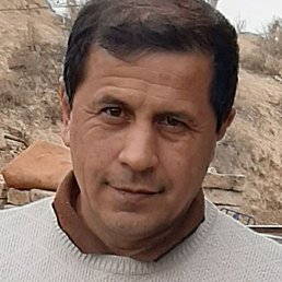 ������, �����, 54 ����