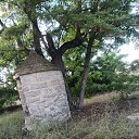 ���� Ljiljana, ������� - ��������� 12 �������� 2023 � ������ ������ ��������