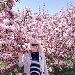 �����, ������, 64 ����