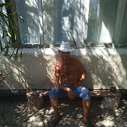 �����, �����������, 44 ����