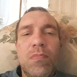 , , 41 