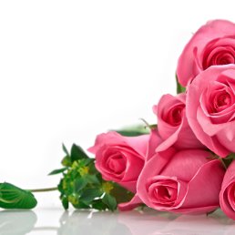 ���� Laylo, �������, 39 ��� - ��������� 21 ������� 2023