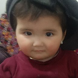 �, �����, 40 ���