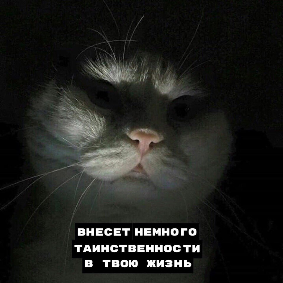   ,    ... - 4