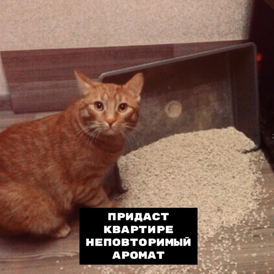   ,    ... - 5