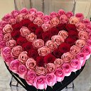 ���� �����, ������, 36 ��� - ��������� 18 �������� 2023 � ������ ���� ����������