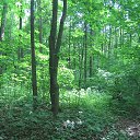 ���� �����, ������, 67 ��� - ��������� 5 ���� 2023 � ������ ���������, ����� ������.�