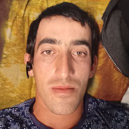 ������, �����-���������, 33 ����