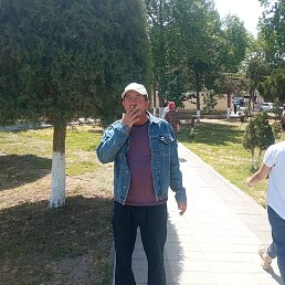 �����, �����, 62 ����