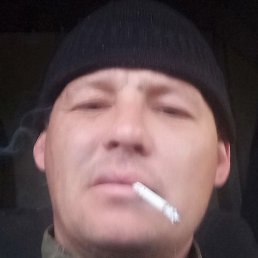 ����, �������, 41 ���