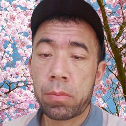 ������, ������, 29 ���