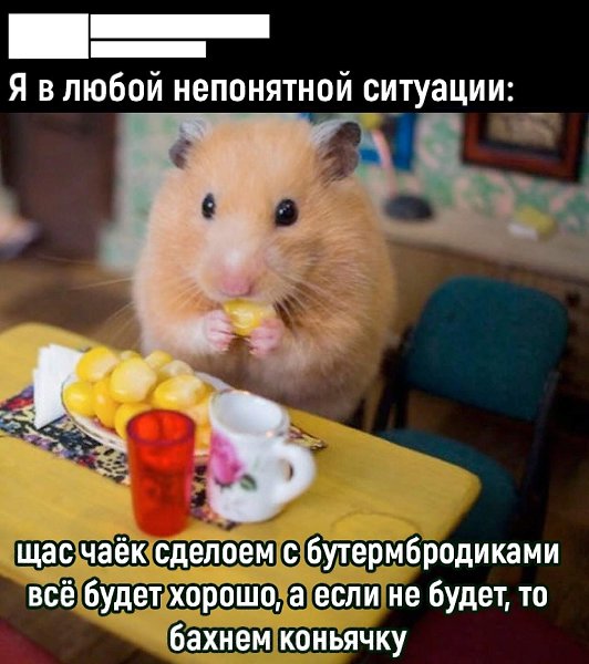 ***Victoria Viktorovna*** - 16  2023  04:30