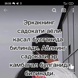 , , 31 