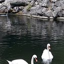 ���� �����, ������, 55 ��� - ��������� 31 ������� 2023