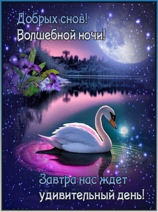   ,    . - 28  2023  21:56
