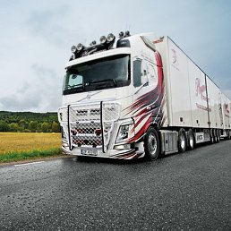 �������, ���������, 25 ���