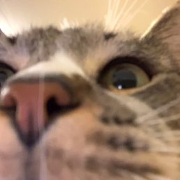 , , 26 