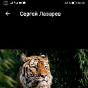 ���� ������ �������, ���������, 42 ���� - ��������� 26 ������� 2023