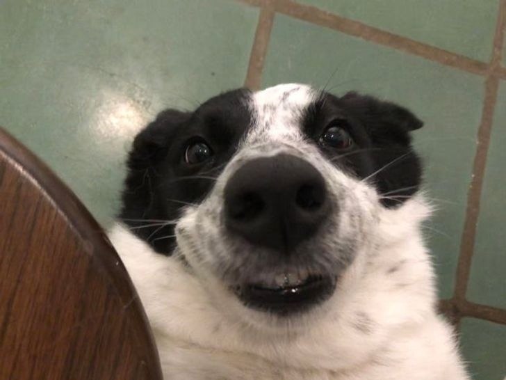 ,   ,    