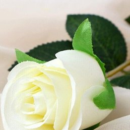 ���� Bek, �����, 37 ��� - ��������� 8 ���� 2023