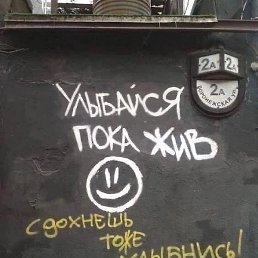 �, ��������, 37 ���