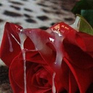 ����, 43 ����, ��������-���������