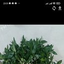 ���� ����, ������, 43 ���� - ��������� 18 ������� 2023 � ������ ���� ����������