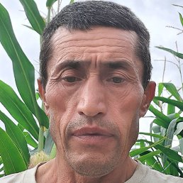 , , 52 