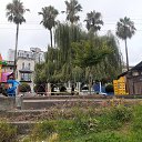 ������ �� ������� ���� ����������