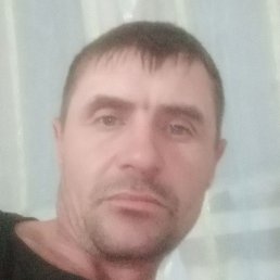 ������, �����, 41 ���