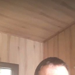 ����, ������, 41 ���