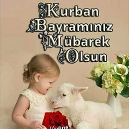 ����, �����, 37 ���