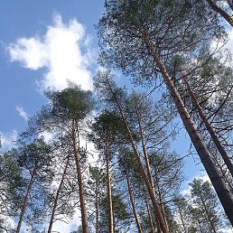 ��������, ������, 58 ���