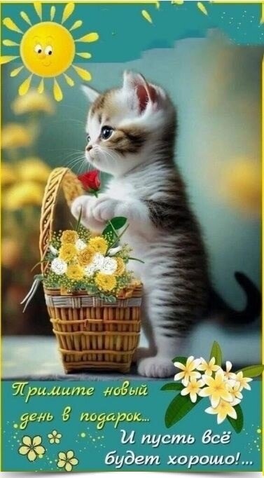 *--*--*--*--*--*--*--*--*