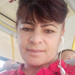 , , 53 