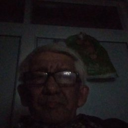 �����, �������������, 66 ���