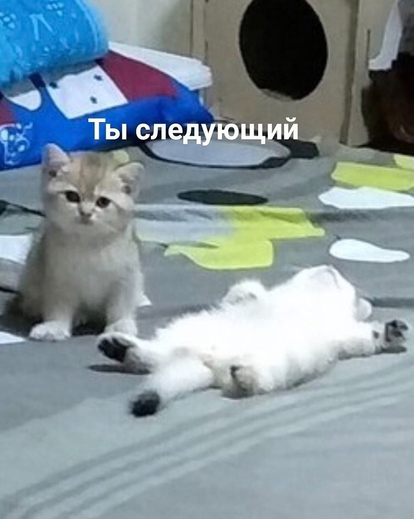     - 3