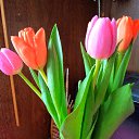 ���� �����, ������ - ��������� 10 ����� 2023 � ������ ���� ����������