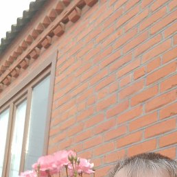 �����, ������, 55 ���