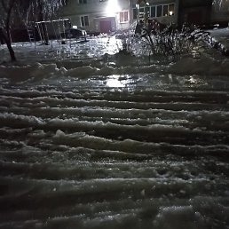 ��������, ������������, 56 ���